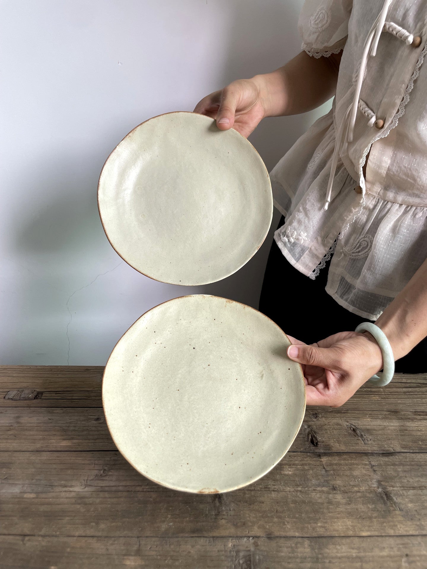 Japanese Style Matte Ceramic Dinner Plates