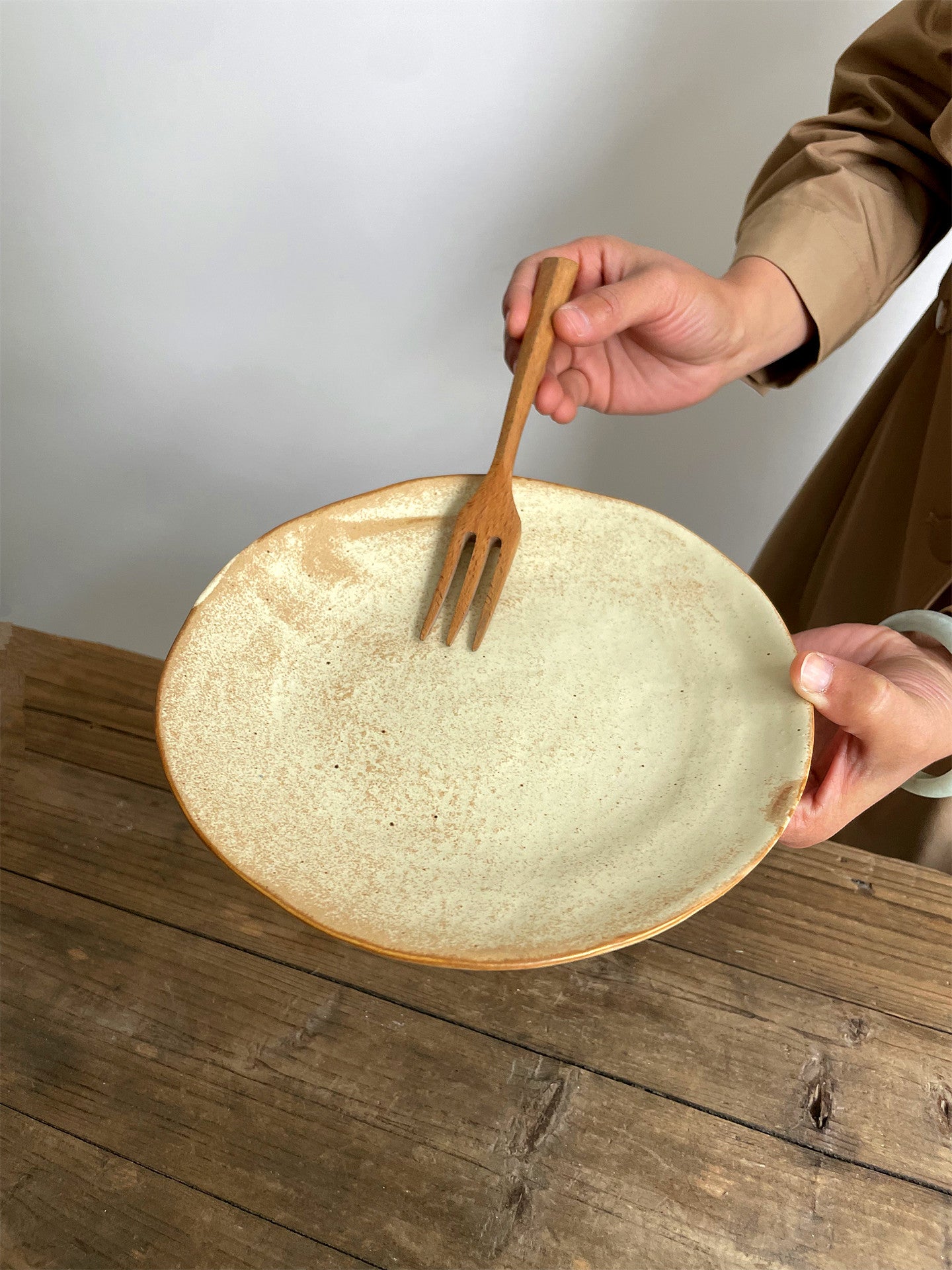 Japanese Style Matte Ceramic Dinner Plates