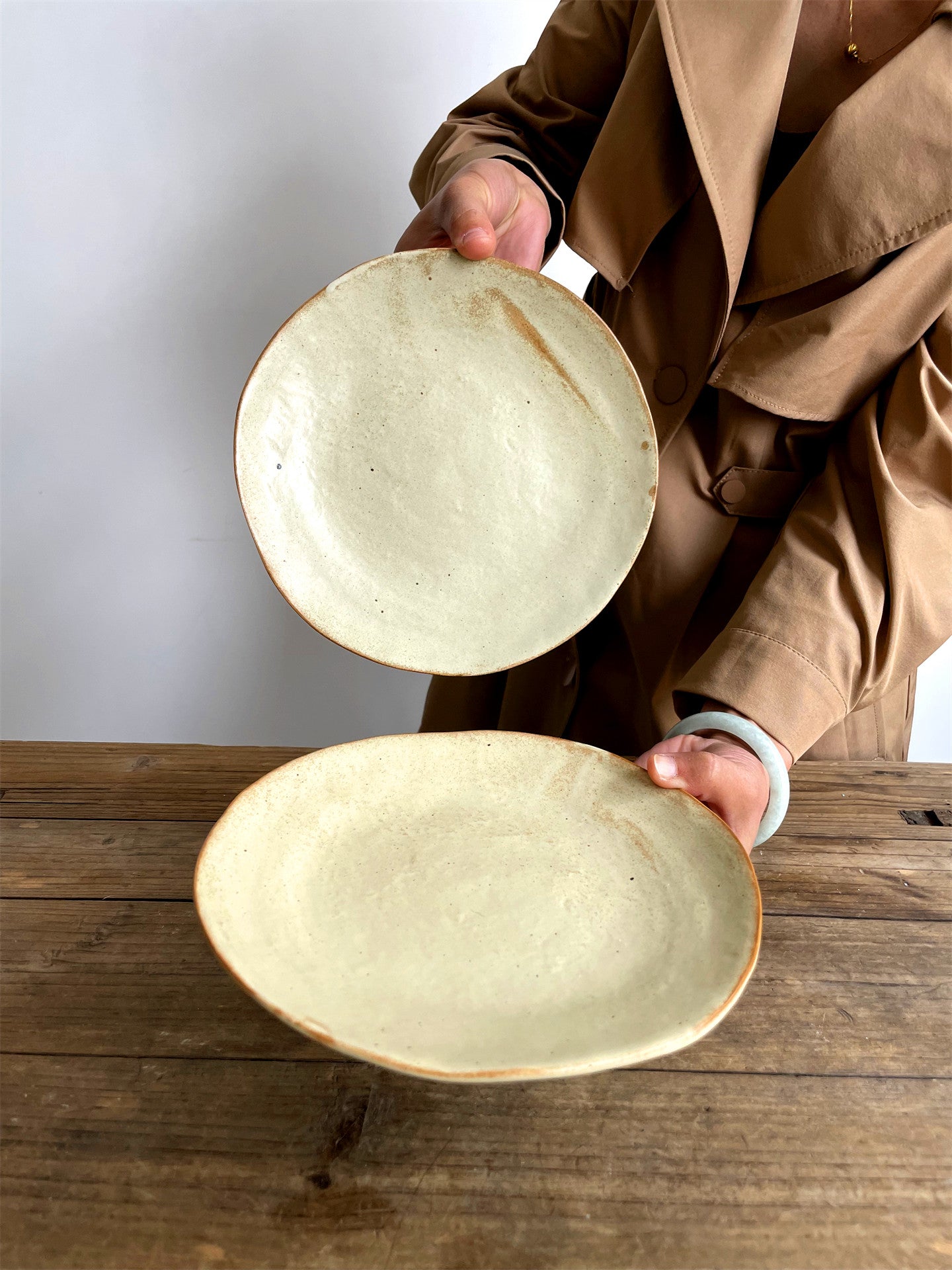 Japanese Style Matte Ceramic Dinner Plates