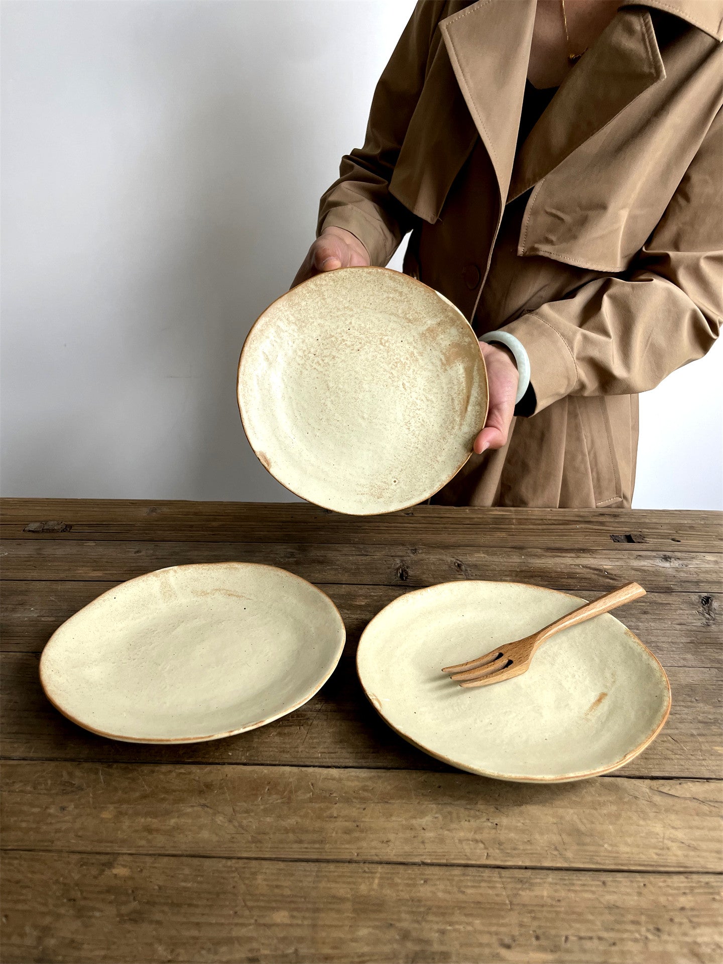 Japanese Style Matte Ceramic Dinner Plates
